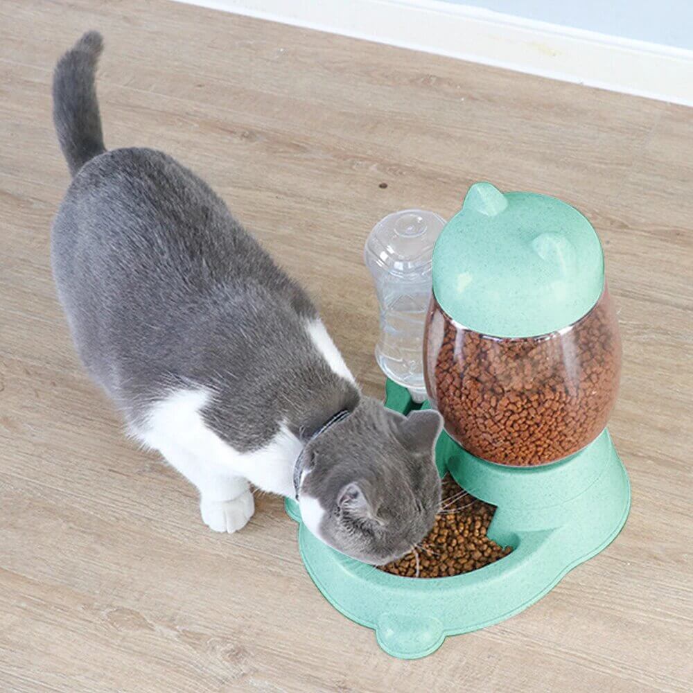 cat feeder