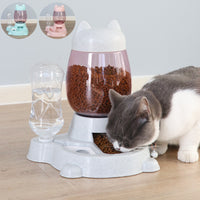 Thumbnail for automatic cat feeder