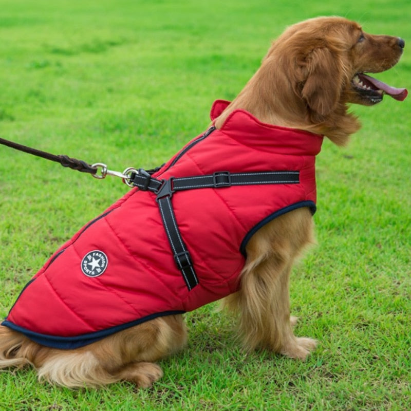 Waterproof Winter Dog Jacket (Harnessed)