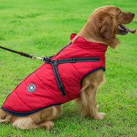 Thumbnail for Waterproof Winter Dog Jacket (Harnessed)