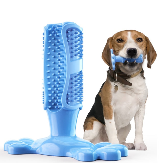 Rubber Dog Toothbrush Toy
