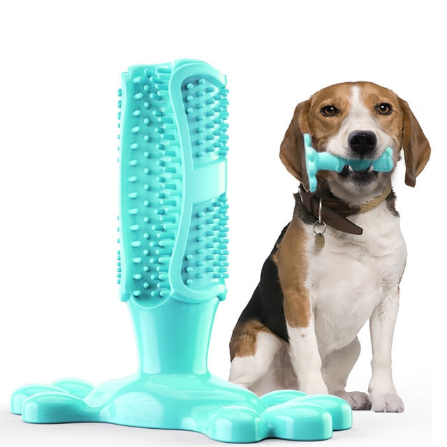 Rubber Dog Toothbrush Toy