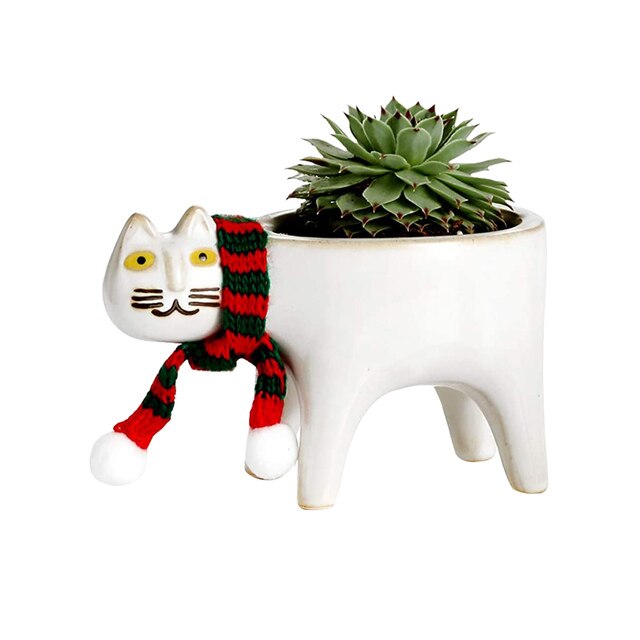 Cat Succulent Pot
